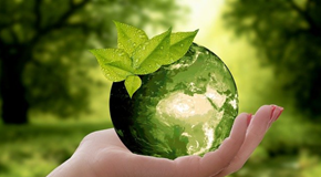 Sustainability Globe