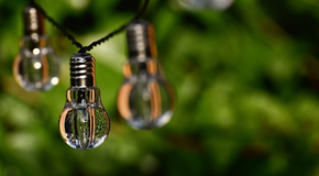Sustainability Bulbs